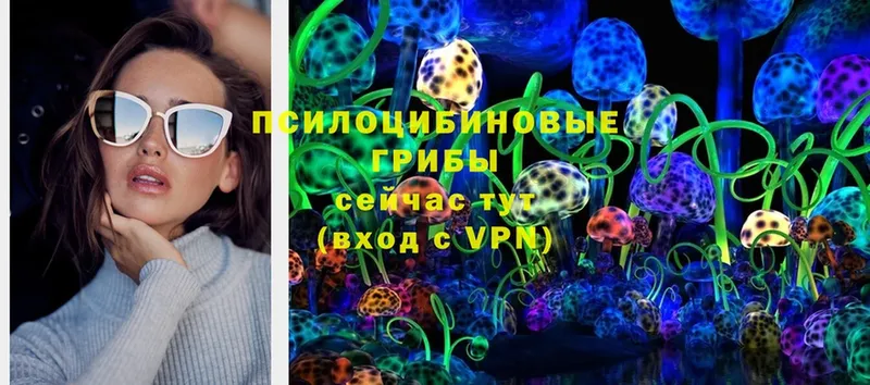 Галлюциногенные грибы Psilocybine cubensis  Зеленокумск 